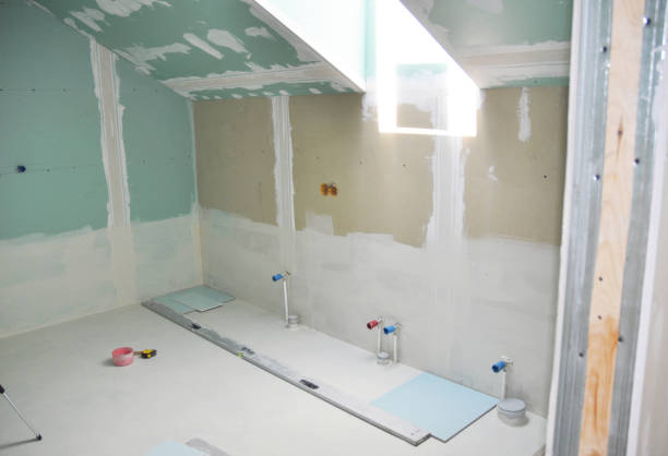 Best Mold Remediation for Rental Properties  in Ovid, MI