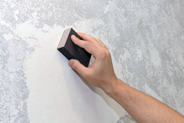 Best Mold Prevention Services  in Ovid, MI