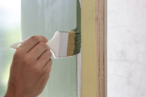 Best Mold Removal for HVAC Installations  in Ovid, MI
