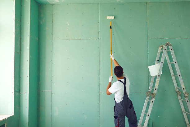 Best Mold Remediation for Healthcare Facilities  in Ovid, MI