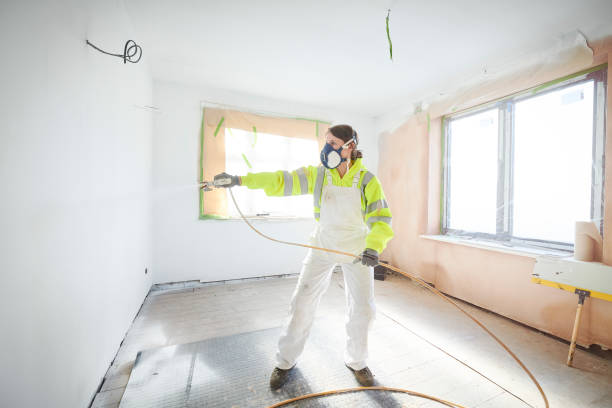  Ovid, MI Mold Removal Pros
