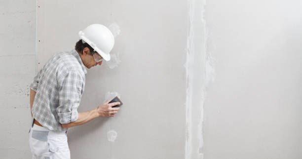 Best Post-Remediation Verification Testing  in Ovid, MI