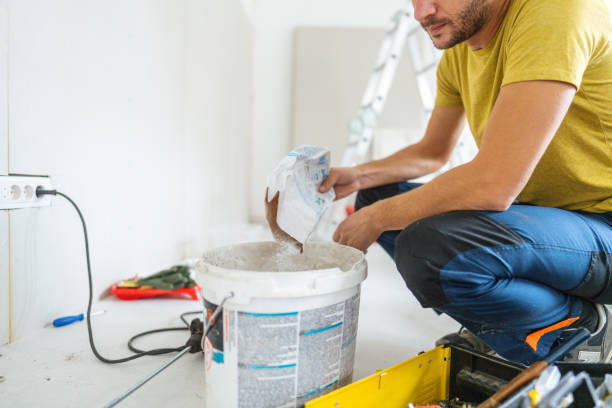 Mold Odor Removal Services in Ovid, MI