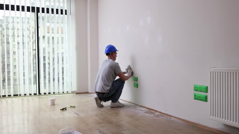 Best Black Mold Removal  in Ovid, MI