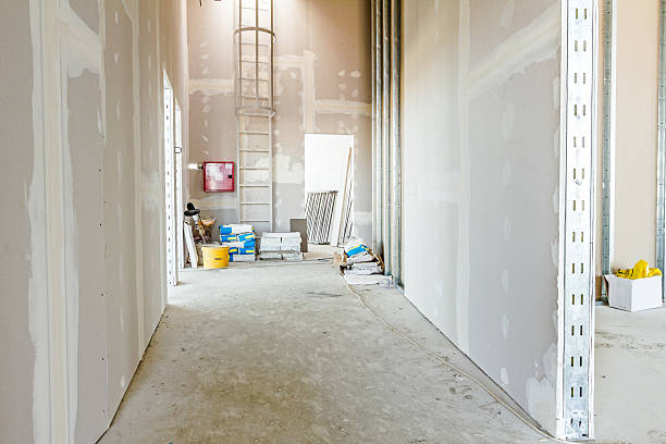 Best Post-Construction Mold Inspection  in Ovid, MI