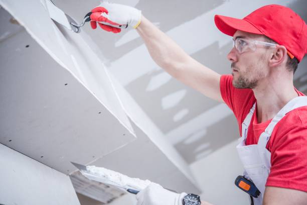 Professional Mold Removal in Ovid, MI